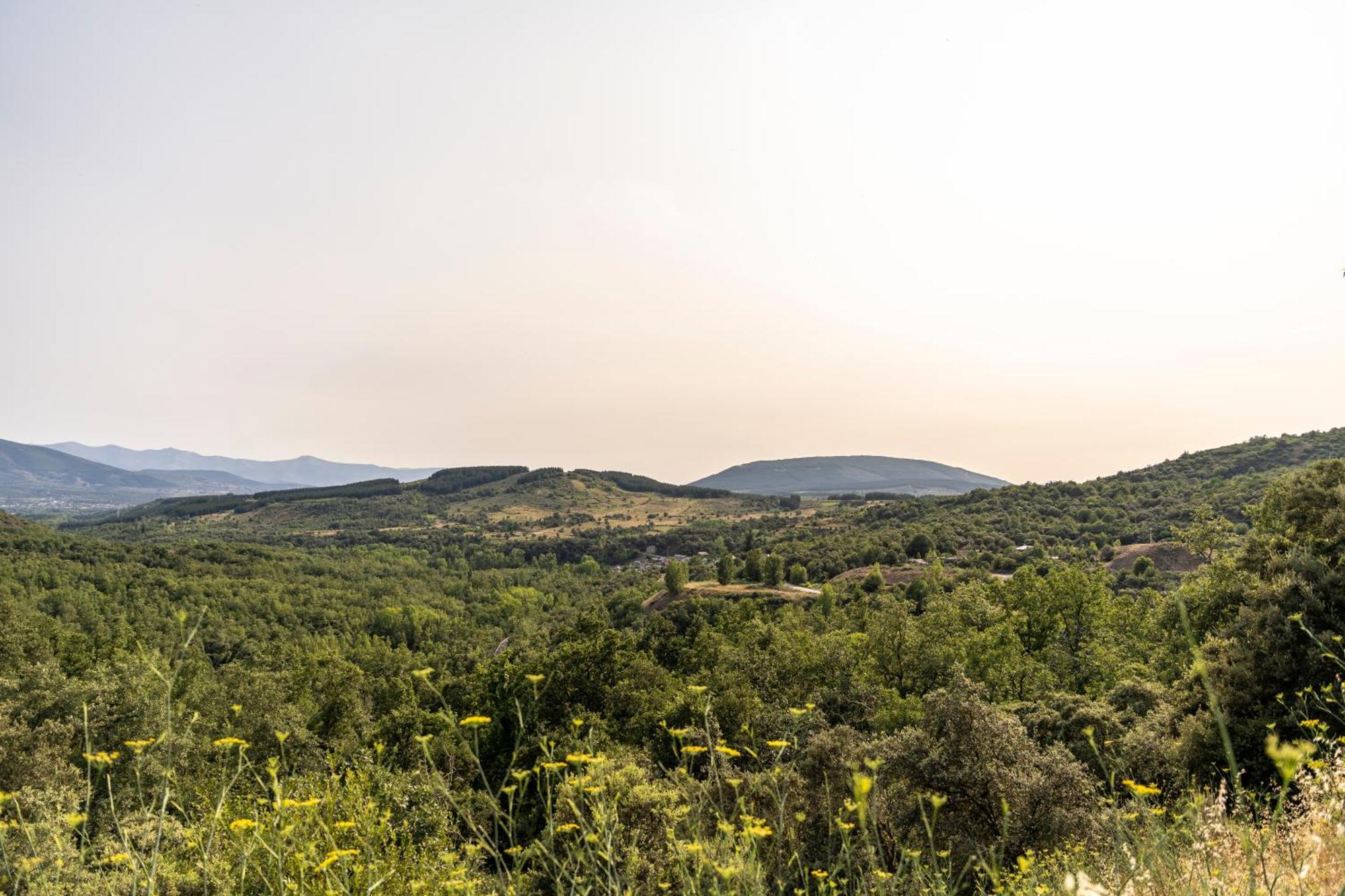 Casa De Turismo Rural Sardom2 Bembibre  ภายนอก รูปภาพ